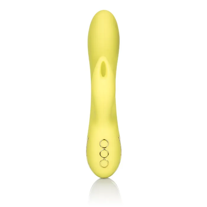 Vibrators California Exotic California Dreaming Venice Vixen