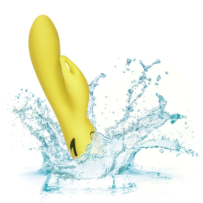 Vibrators California Exotic California Dreaming Venice Vixen