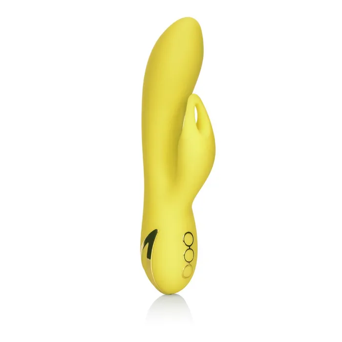 Vibrators California Exotic California Dreaming Venice Vixen