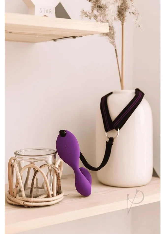 Adrien Lastic Mr Hook Purpledisc Vibrators