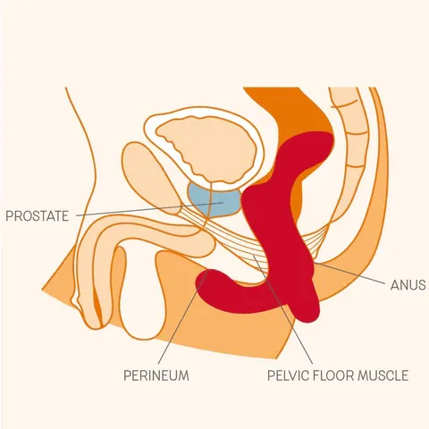 Fun Factory Anal Fun Factory Duke Prostate Massager