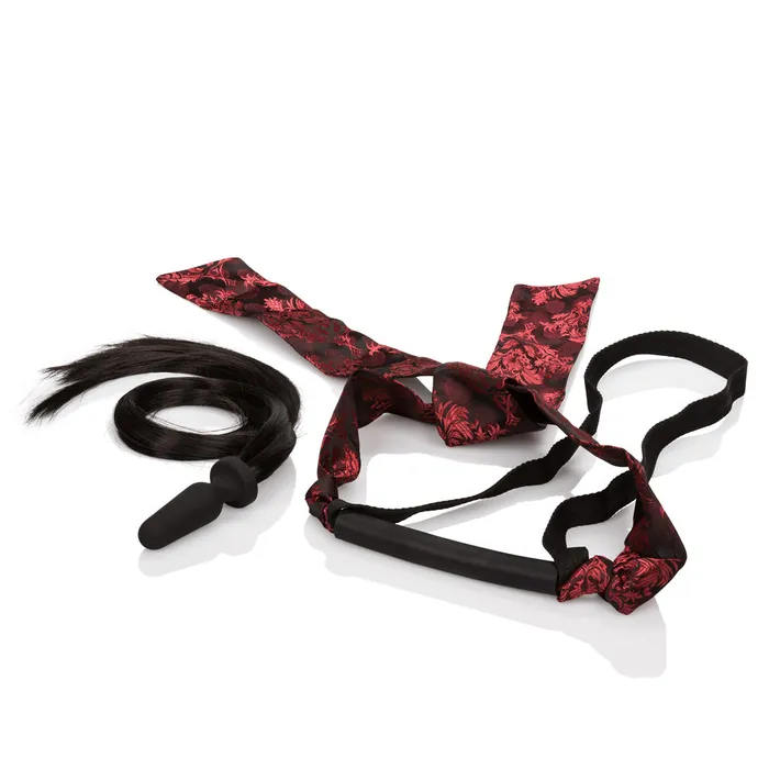 Couples California Exotics SCANDAL PONY PLAY KIT
