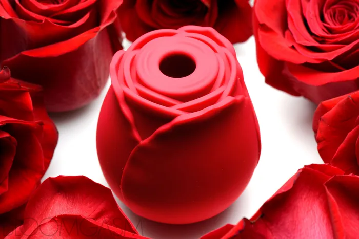 Female Sex Toys Bloomgasm Bloomgasm Wild Rose 10X Silicone Clit Stimulator Female Sex Toys Bloomgasm Bloomgasm Wild Rose 10X Silicone Clit Stimulator