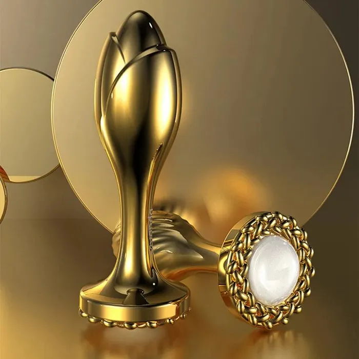 Male Sex Toys Xinghaoya Luxury Stainless Steel Anal Plug Toy
