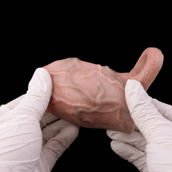 Big Girthy Realistic Cock Sleeve Extender Life Size Penis Sheath Soft Silicone Sex Toys for Men Domlust Male Sex Toys