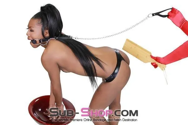 4716RS Silicone Bit Gag with Leash Reins Set Raysent Female Sex Toys