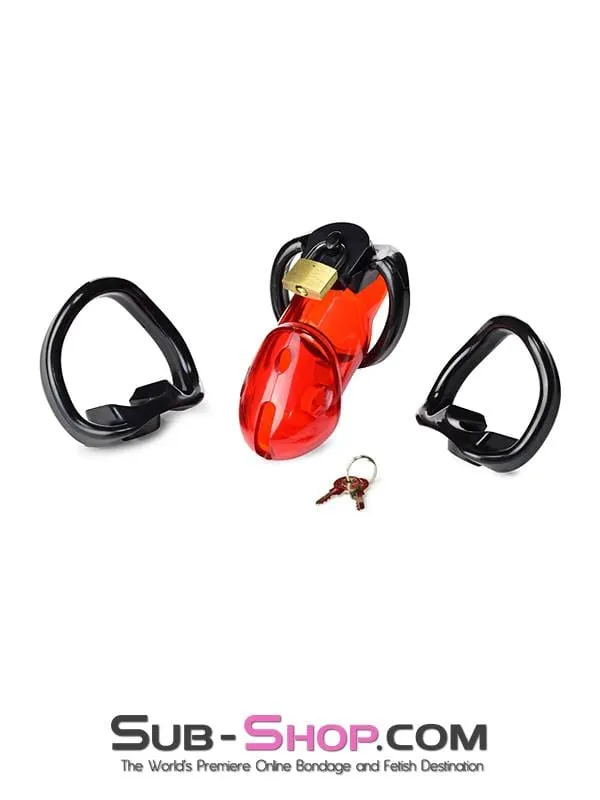 Male Sex Toys Aria 2619R Caught Red Handed Locking Cock Ball Chastity Set