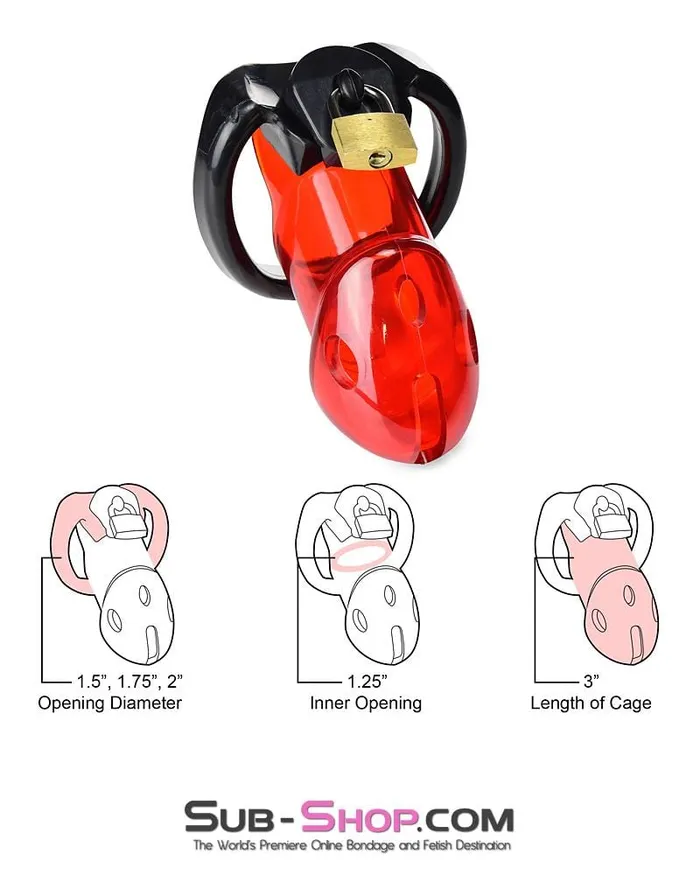 Male Sex Toys Aria 2619R Caught Red Handed Locking Cock Ball Chastity Set