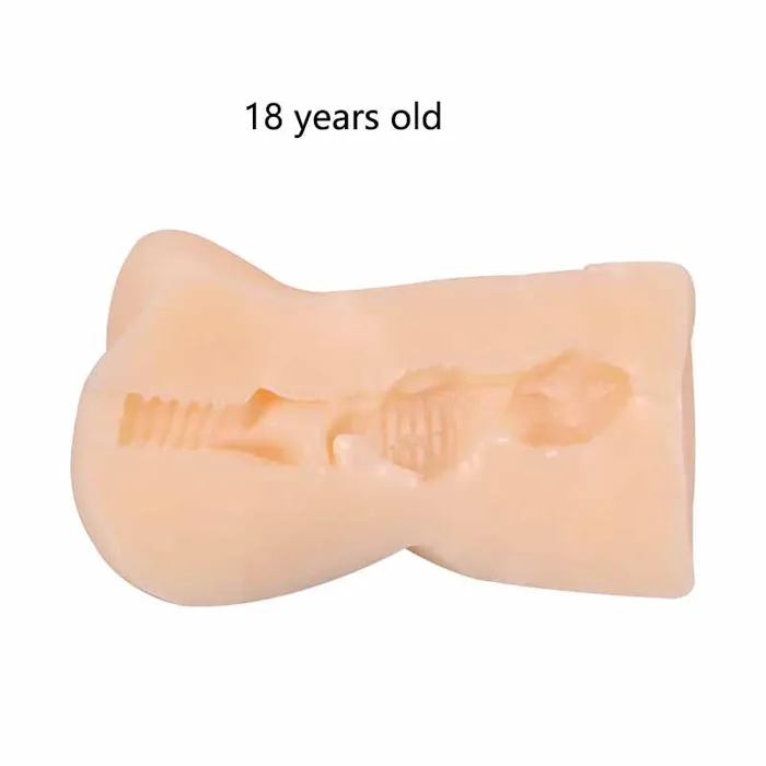 Male Sex Toys weadultshop Pocket Pussy Toy Teen Adult Male Masturbation Toy In Pussy