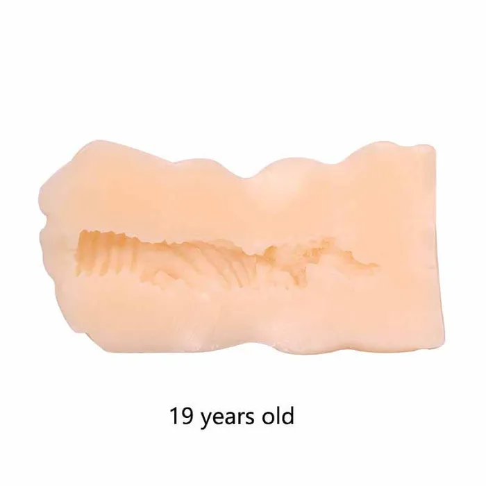 Male Sex Toys weadultshop Pocket Pussy Toy Teen Adult Male Masturbation Toy In Pussy