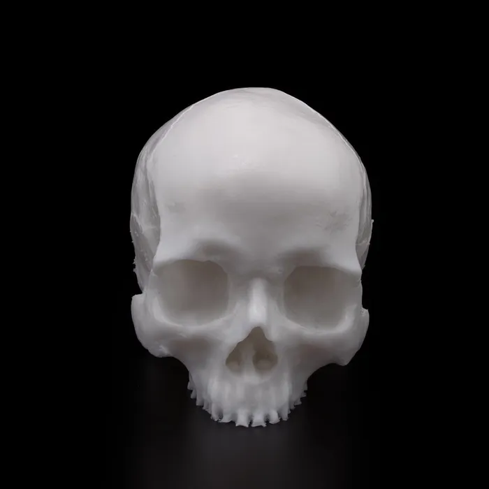 A Pound of Flesh Dildos A Pound of Flesh Tattooable Synthetic Yorick Skull Pick Color