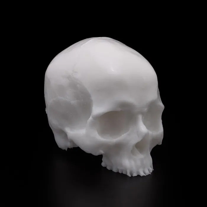 A Pound of Flesh Dildos A Pound of Flesh Tattooable Synthetic Yorick Skull Pick Color