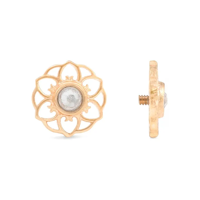 Anal Tilum 14g12g Internally Threaded Yellow Gold Hellebore Top Crystal Jewel Center Price Per 1 Tilum Anal Tilum 14g12g Internally Threaded Yellow Gold Hellebore Top Crystal Jewel Center Price Per 1 Tilum