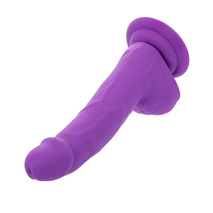 Dildos Silicone Stud 8 Inch Suction Cup Dildo Purple CalExotics