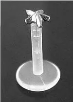 Female Sex Toys Painful Pleasures 14g 516 Bioplastic Labret with 14kt White Gold 3D Star Female Sex Toys Painful Pleasures 14g 516 Bioplastic Labret with 14kt White Gold 3D Star
