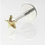 Female Sex Toys Painful Pleasures 18g Internally Threaded Labret with 14kt Yellow Gold Nautical Star Female Sex Toys Painful Pleasures 18g Internally Threaded Labret with 14kt Yellow Gold Nautical Star