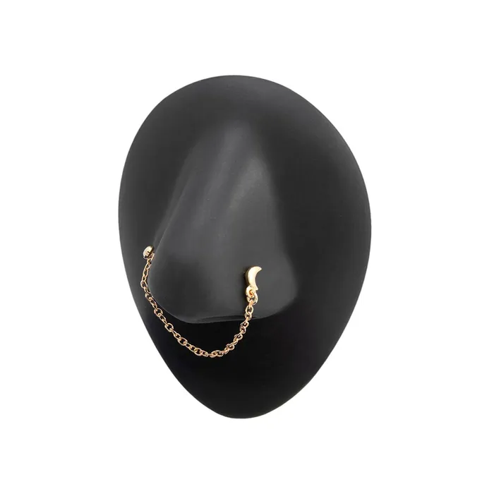 Female Sex Toys Painful Pleasures 20g 14 PVD Gold Celestial Magic Nose Bones with Chain