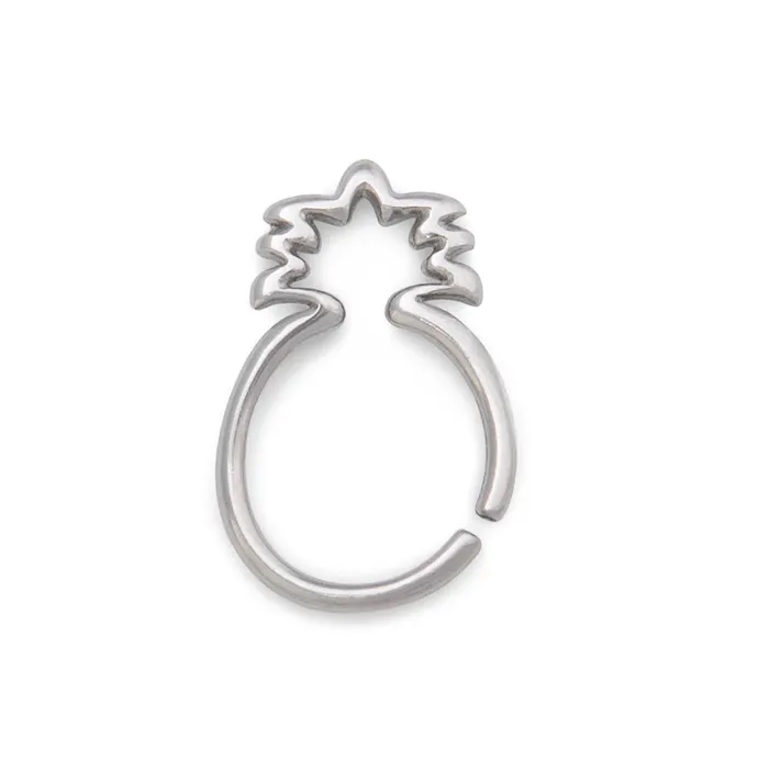 Male Sex Toys Painful Pleasures 16g Pineapple Steel Bendable Ring Price Per 1 Male Sex Toys Painful Pleasures 16g Pineapple Steel Bendable Ring Price Per 1
