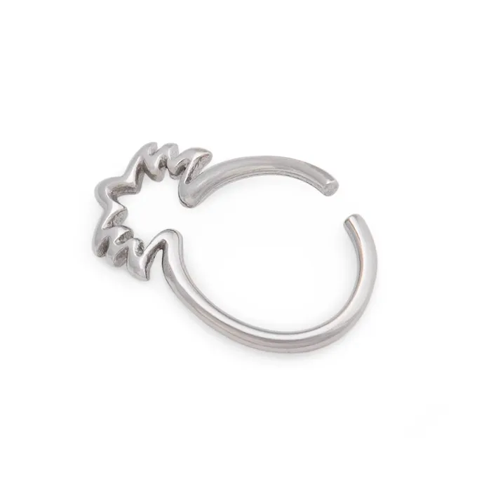 Male Sex Toys Painful Pleasures 16g Pineapple Steel Bendable Ring Price Per 1