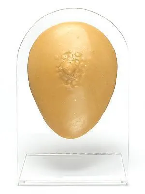 Painful Pleasures Female Sex Toys Silicone Male Nipple Display Tan Body Bit Version 1 Painful Pleasures Female Sex Toys Silicone Male Nipple Display Tan Body Bit Version 1