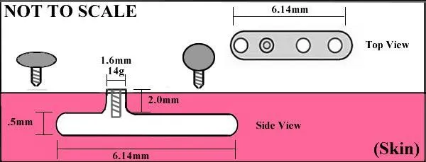Painful Pleasures Male Sex Toys 14g 12g Internally Threaded 6mm Steel Half Ball Price Per 1